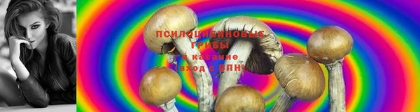 мдпв Бугульма