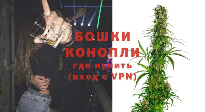 Бошки Шишки White Widow  где продают   Порхов 